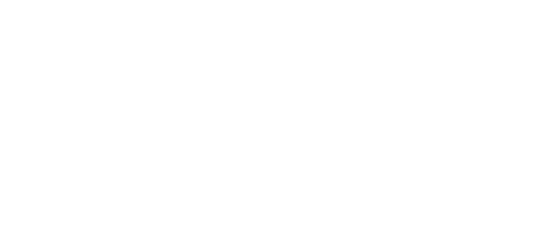 SeRH Consulting